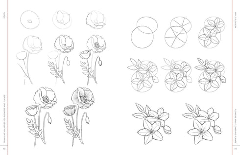 DRAW LIKE AN ARTIST: 100 FLOWERS AND PLANTS - WASHBURN. MELISSA